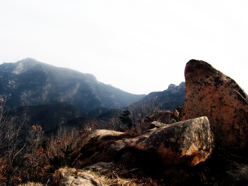 dscf0262.jpg