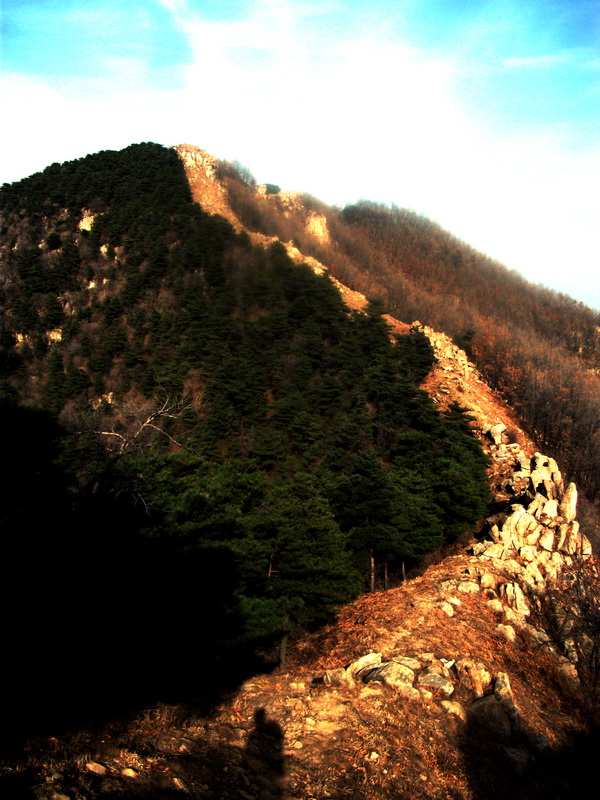 dscf0257.jpg