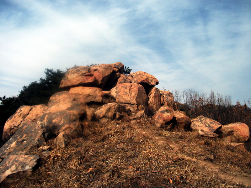 dscf0263.jpg