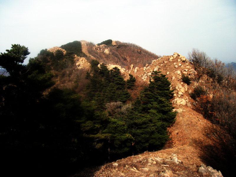 dscf0270.jpg