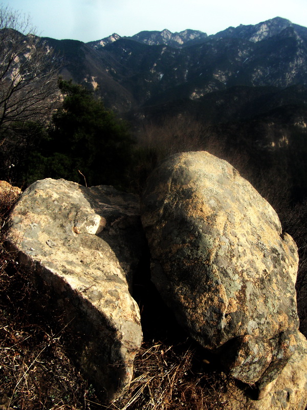 dscf0271.jpg