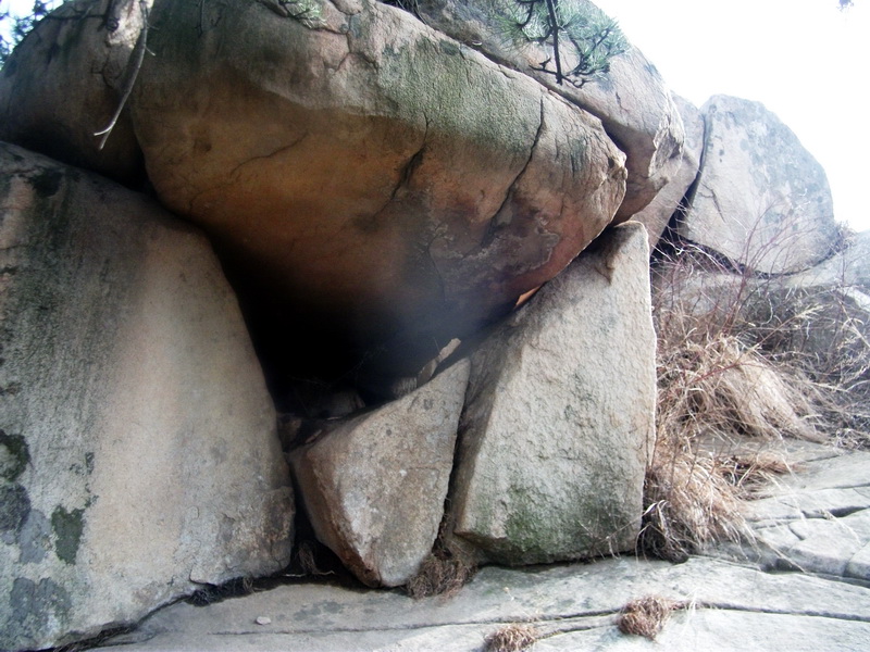 dscf0259.jpg