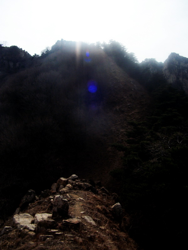 dscf0272.jpg