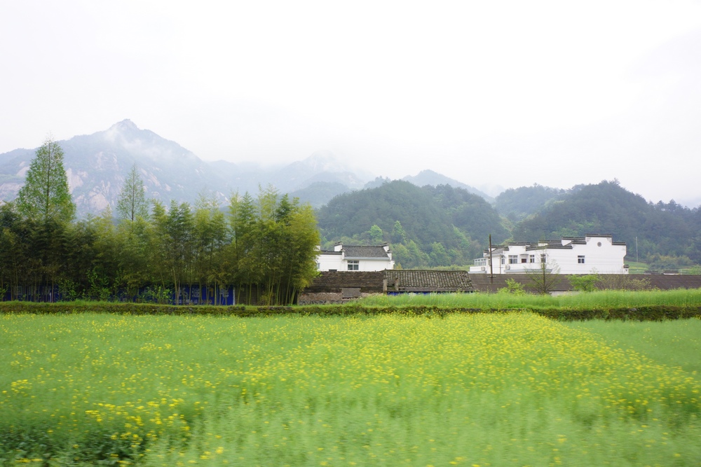 山水画廊999.jpg