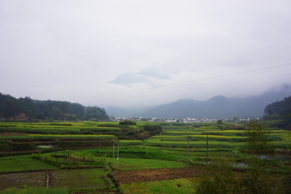 山水画廊1026.jpg