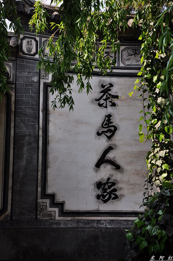 dsc_0953.jpg