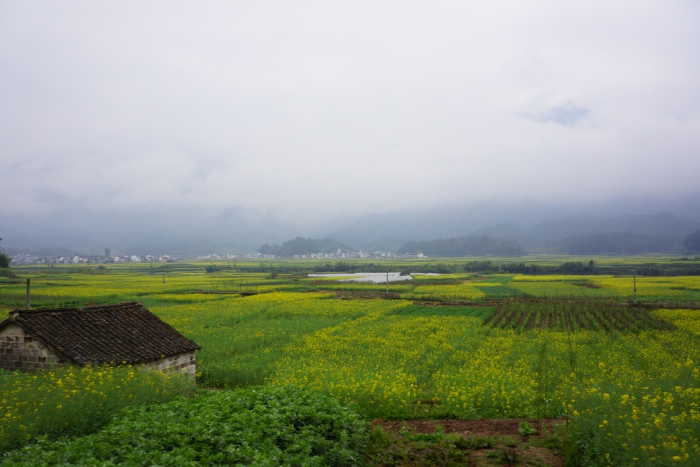 山水画廊1037.jpg