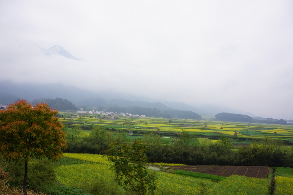 山水画廊1042.jpg
