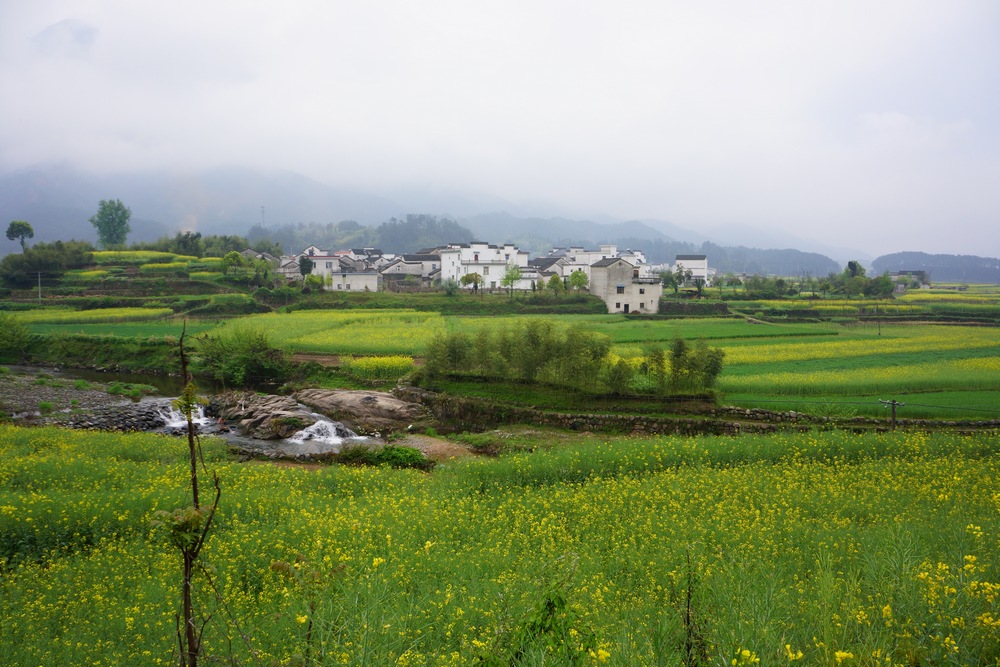 山水画廊1048.jpg