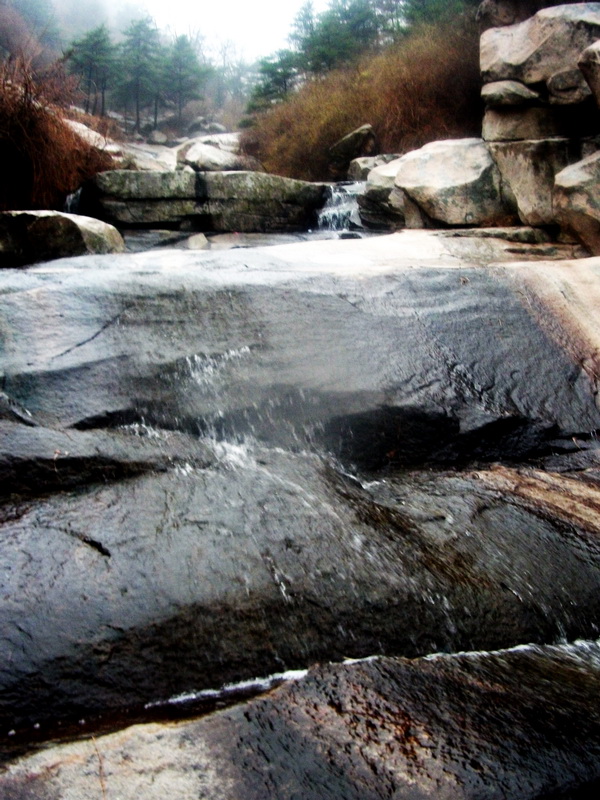 dscf0148.jpg