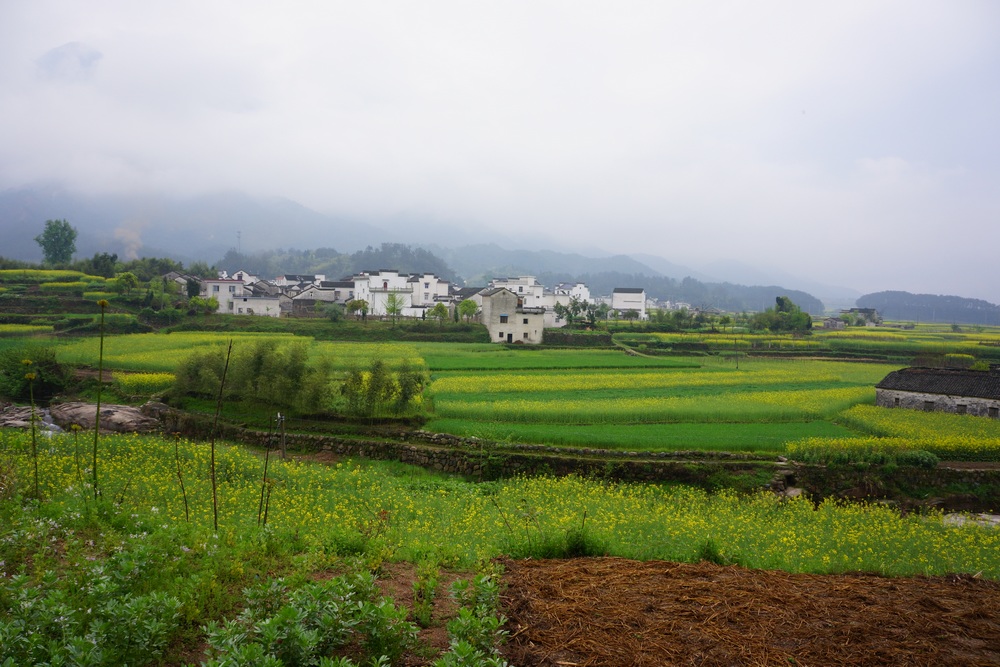 山水画廊1050.jpg