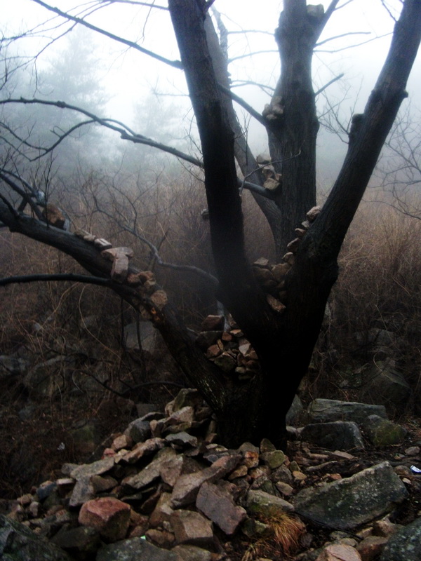 dscf0152.jpg