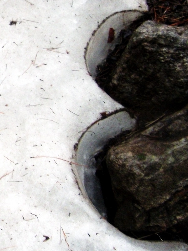 dscf0154.jpg