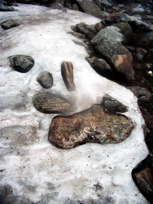 dscf0155.jpg