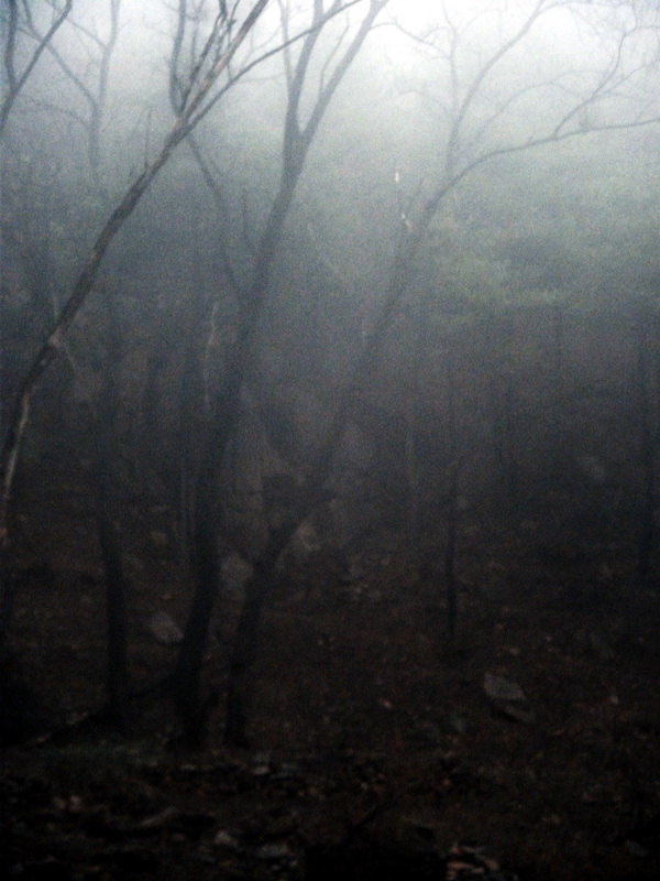 dscf0157.jpg