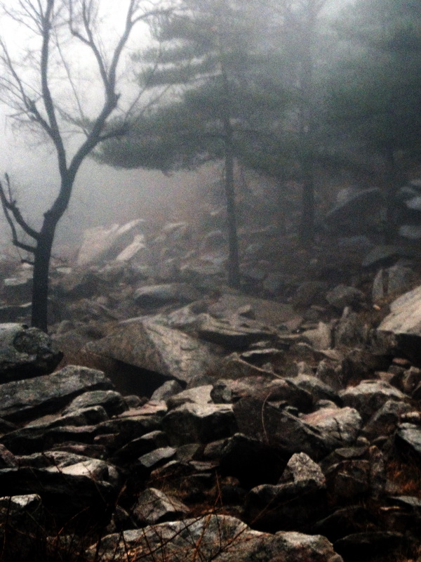 dscf0159.jpg