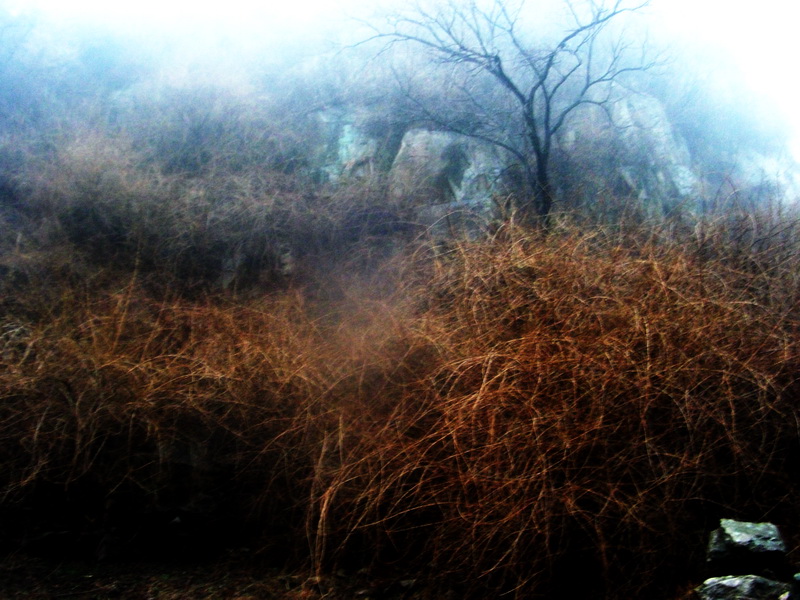 dscf0160.jpg