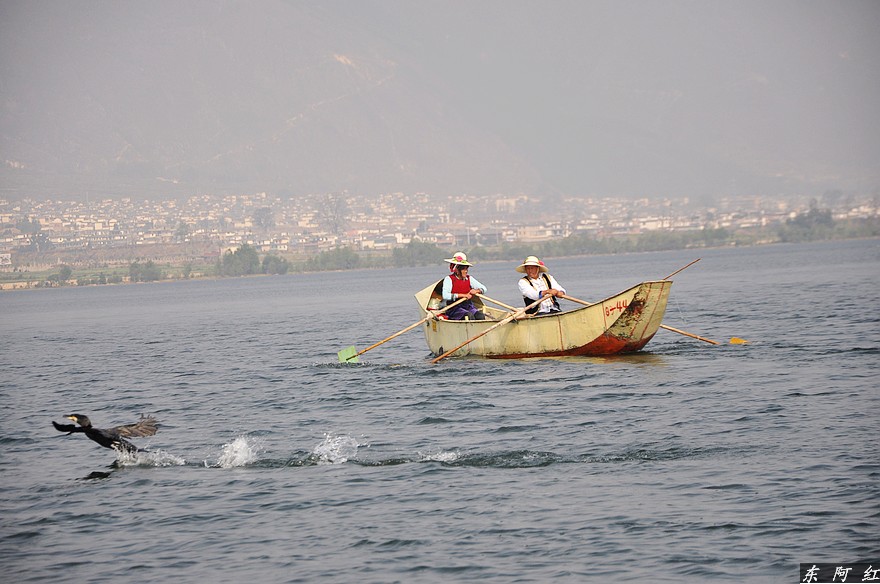dsc_0748.jpg