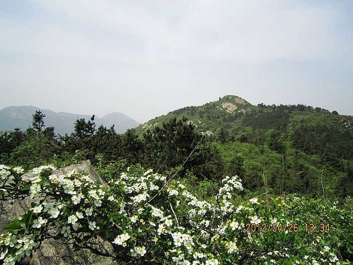 neo_img_img_3495.jpg