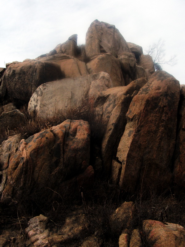 dscf0275.jpg