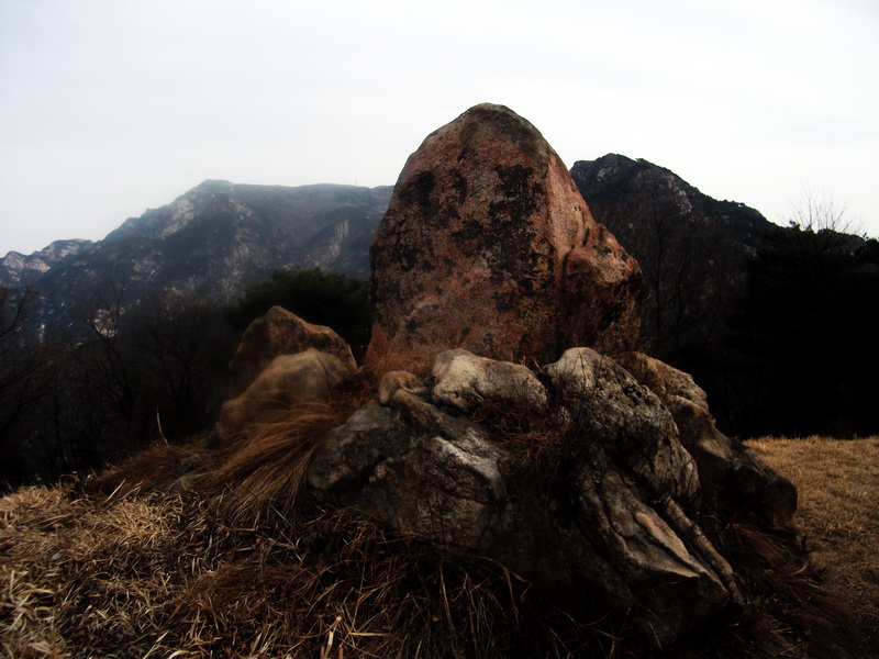 dscf0281.jpg