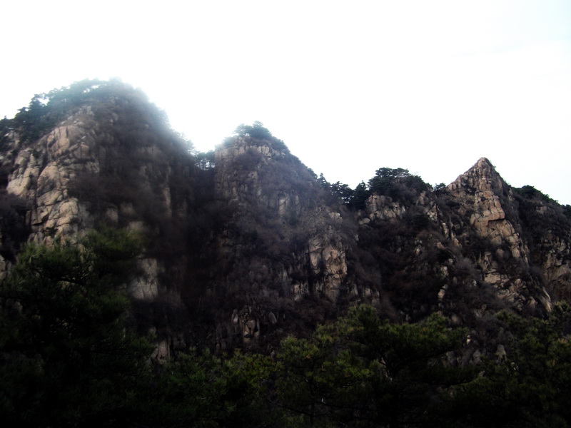 dscf0282.jpg
