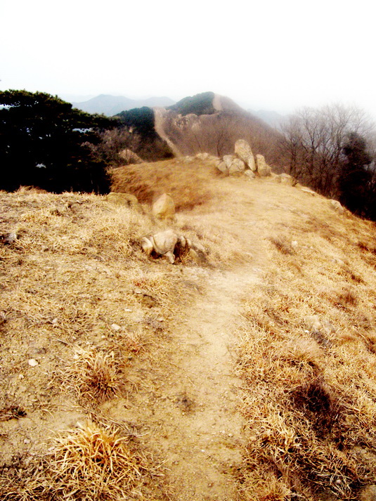dscf0283.jpg