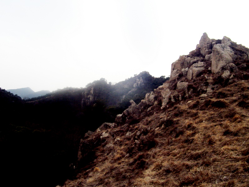 dscf0286.jpg