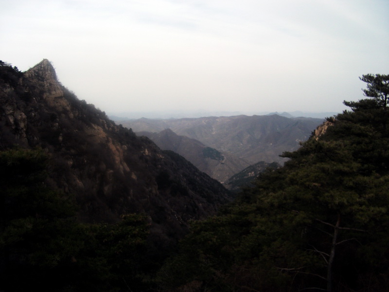dscf0287.jpg