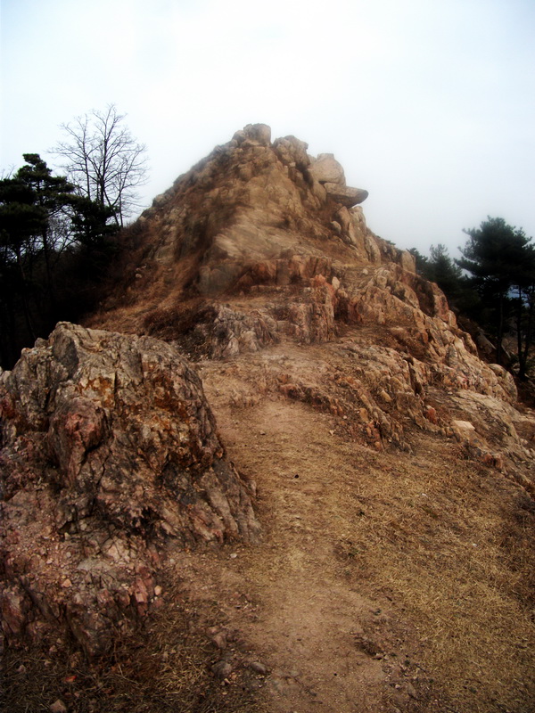 dscf0288.jpg