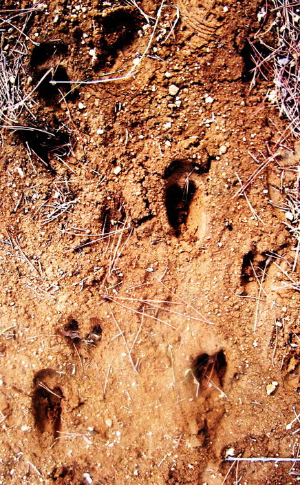dscf0291.jpg