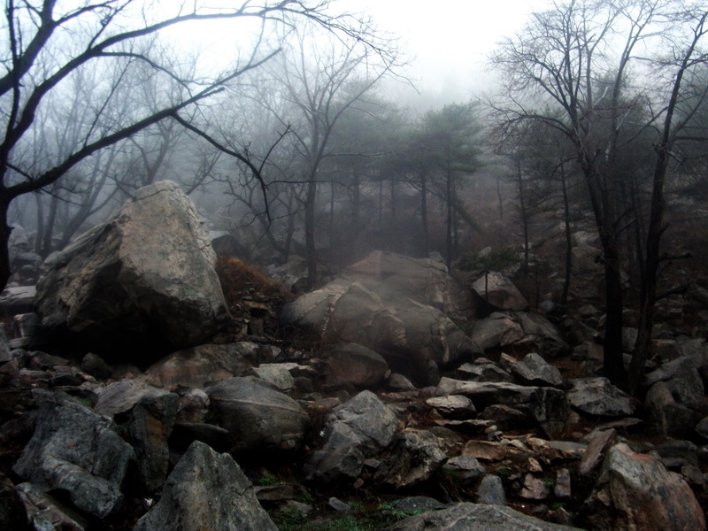 dscf0161.jpg