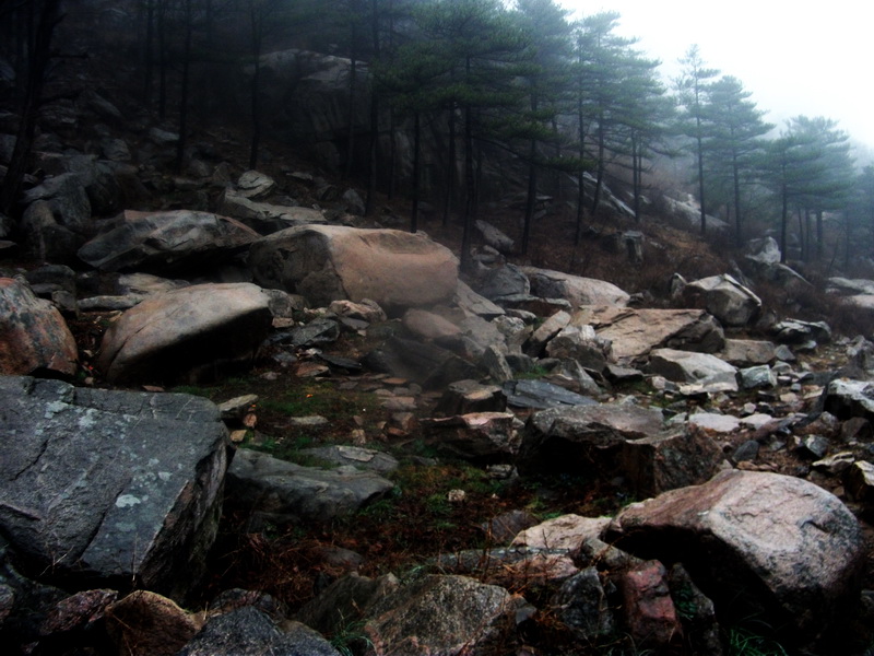 dscf0162.jpg