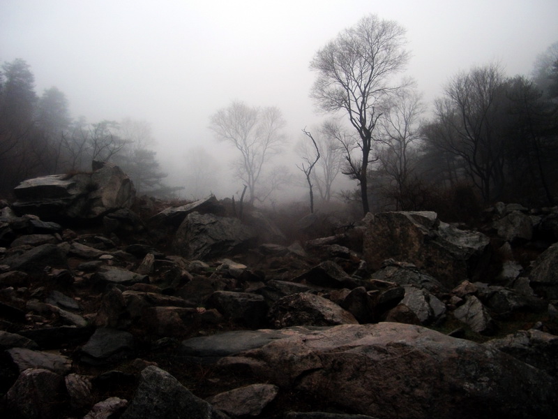 dscf0163.jpg