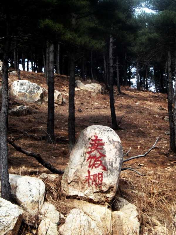 dscf0295.jpg