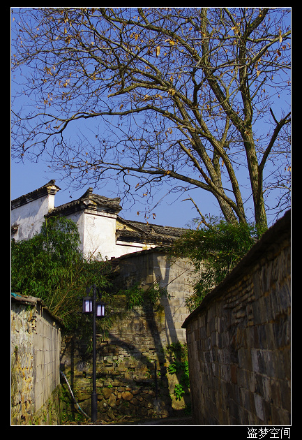 imgp0295.jpg