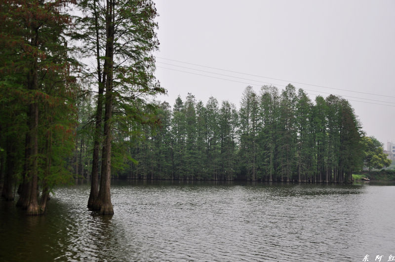 dsc_0201.jpg