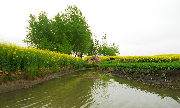 2012.04.19ձѰ 082-1.jpg