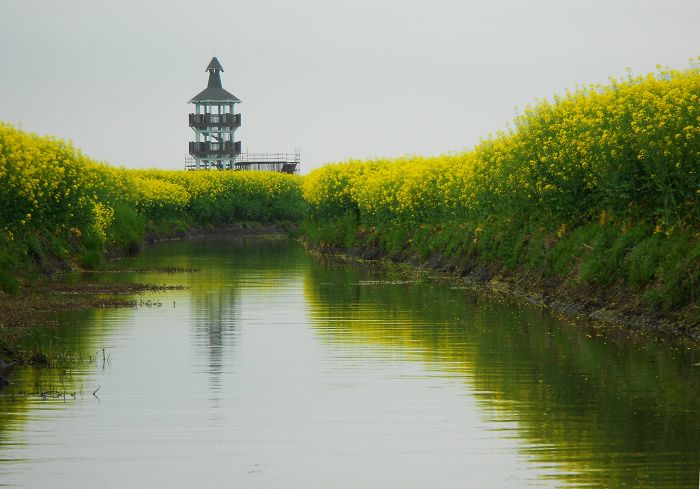 2012.04.19ձѰ 092-1.jpg