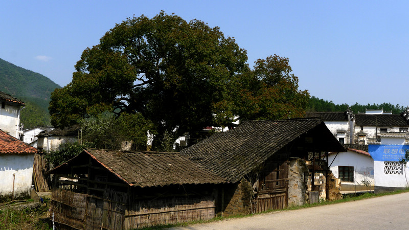 p1080929.jpg
