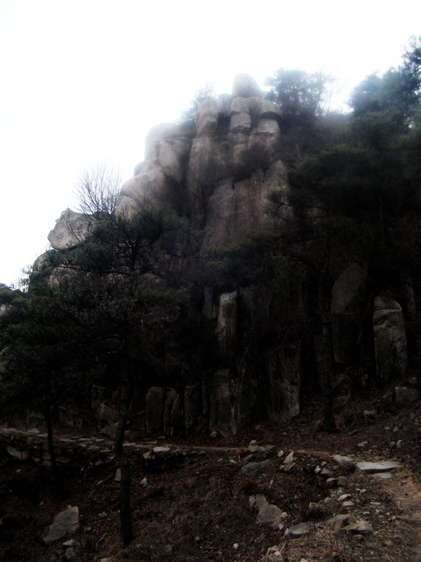 dscf0296.jpg