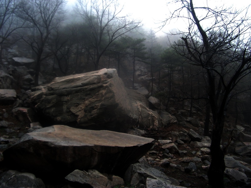 dscf0164.jpg