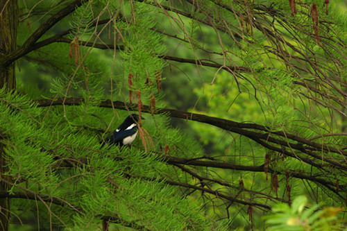 201204292.jpg