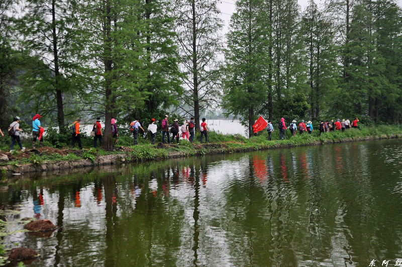 dsc_0196.jpg
