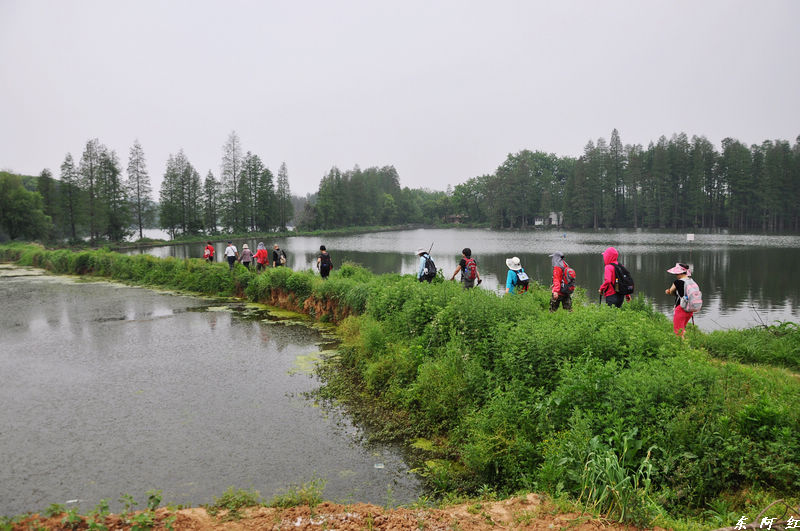 dsc_0186.jpg