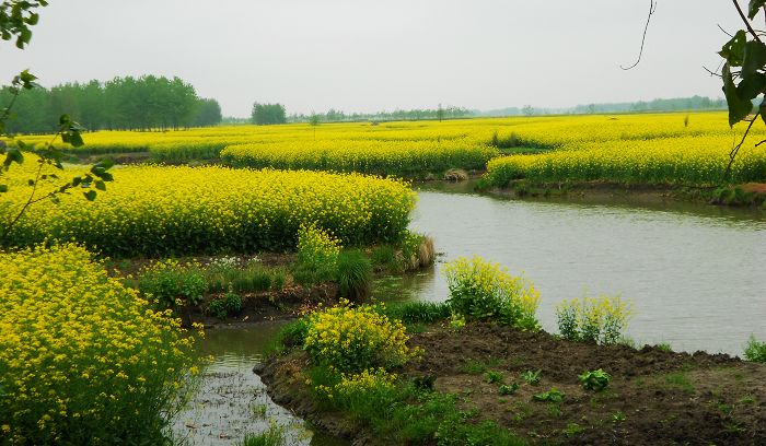 2012.04.19ձѰ 101-1.jpg