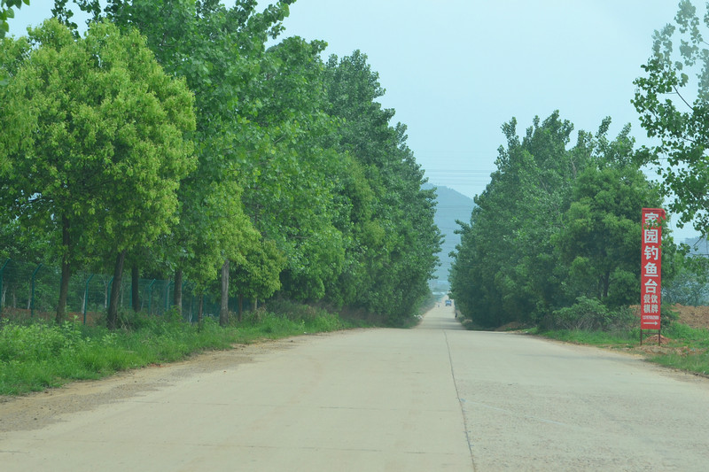 dsc_0274.jpg
