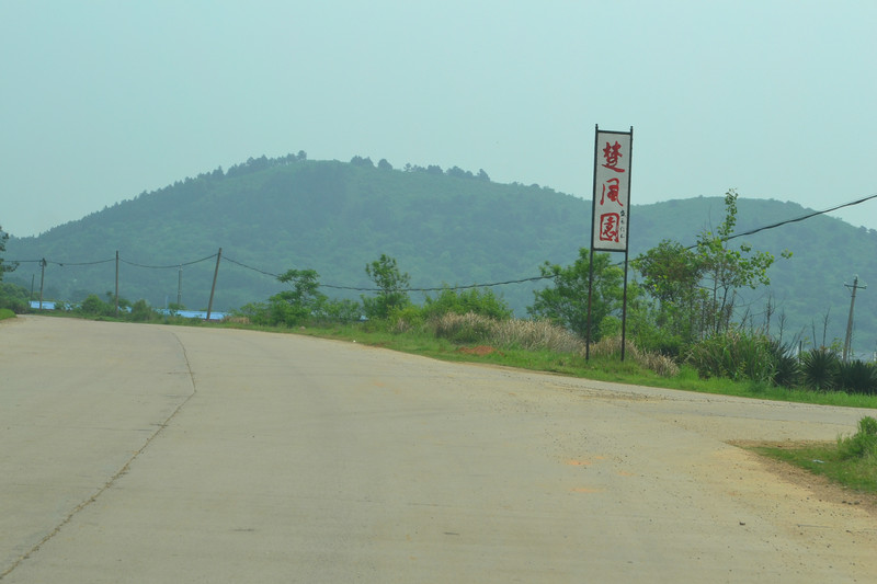 dsc_0278.jpg