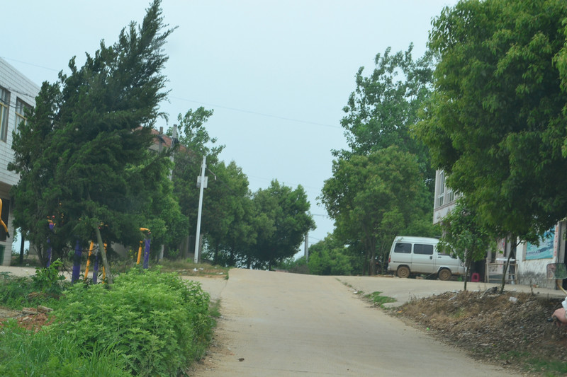 dsc_0316.jpg
