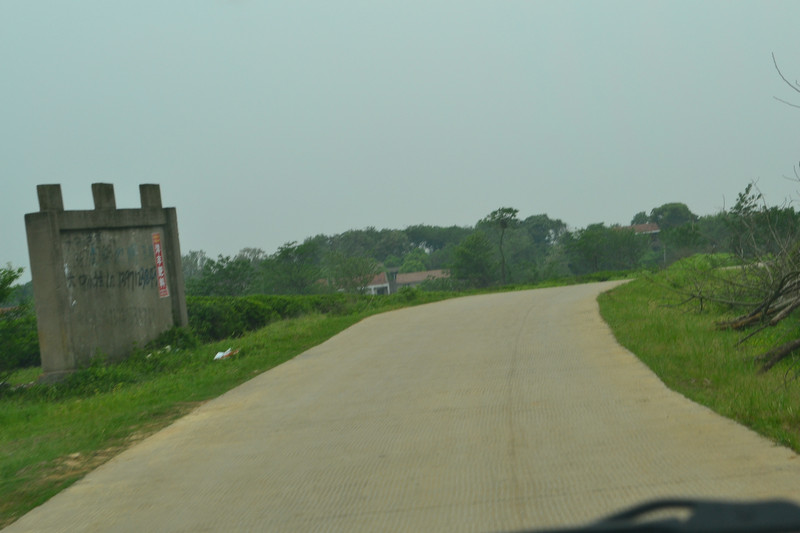 dsc_0319.jpg